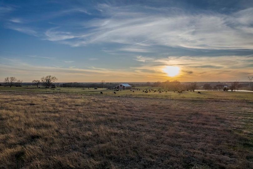 Fannin County- Pecan Ridge (10 of 53)