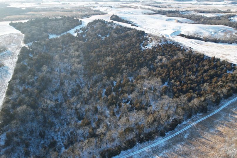 DJI_0446