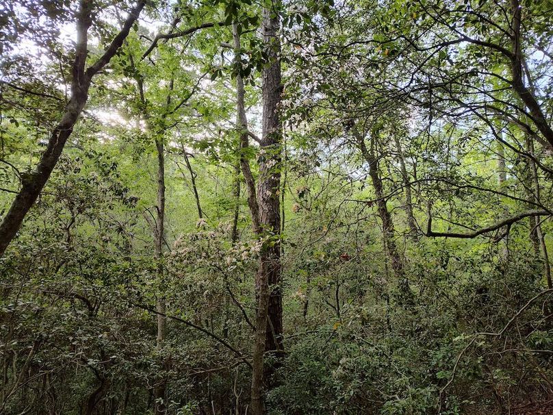 IMG_20250518_180622712_HDR