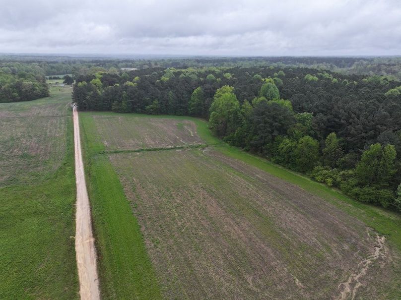 Copy of DJI_20250411111216_0028_D