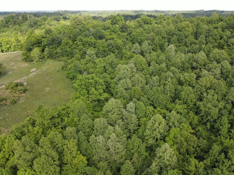 DJI_0149_W