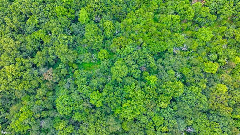 DJI_20240821111419_0021_D