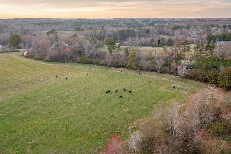 DJI_0855