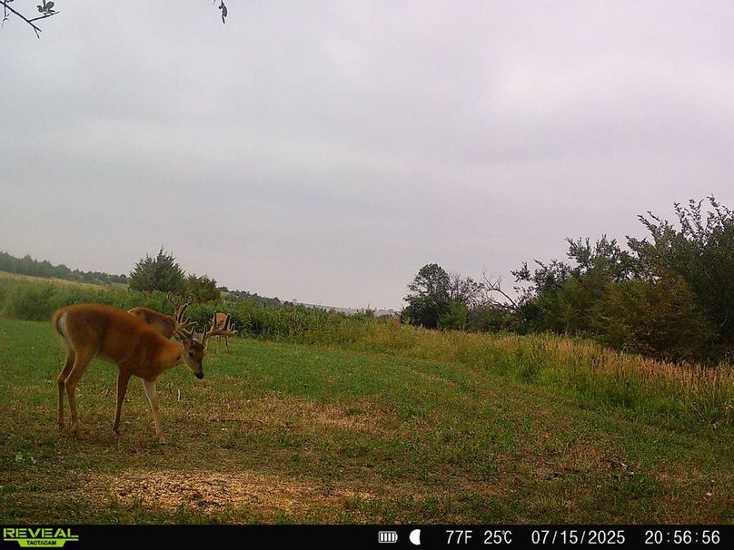 Copy of 868032069649766-50-3-07162025010752-HD-SYFW2705