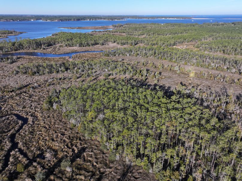 dji_fly_20231220_090440_0009_1703094078476_photo