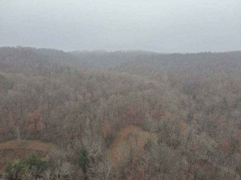 9-DJI_20251119125556_0002_W