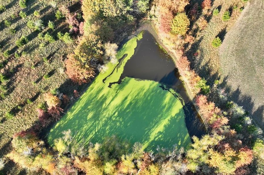 DJI_0318