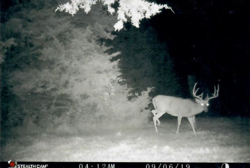 C13