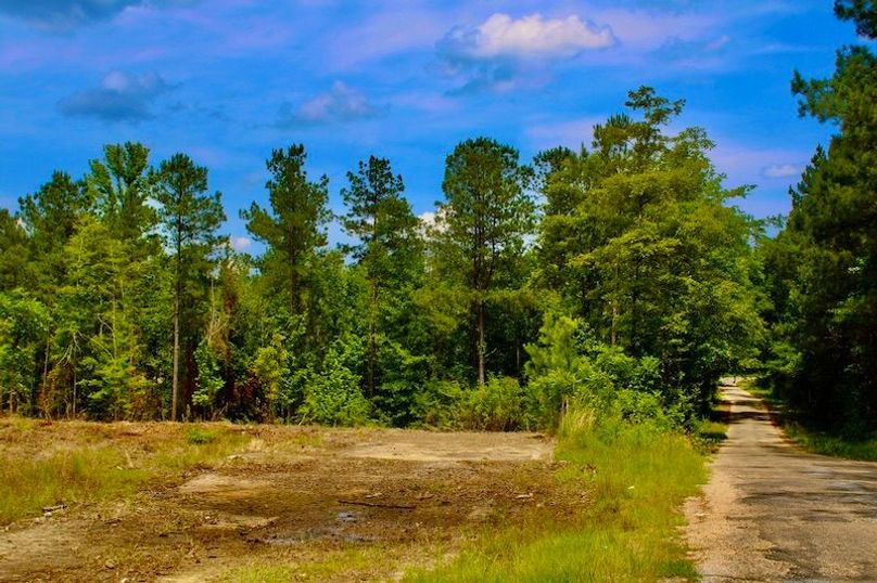 8615CF2C-673F-4877-8BB9-407073E83EAD_1_105_c