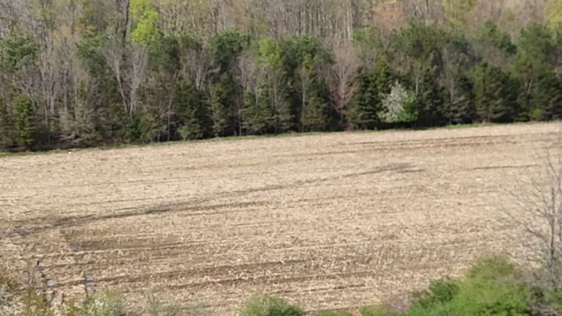 29 DJI_20260425043647_0016_D