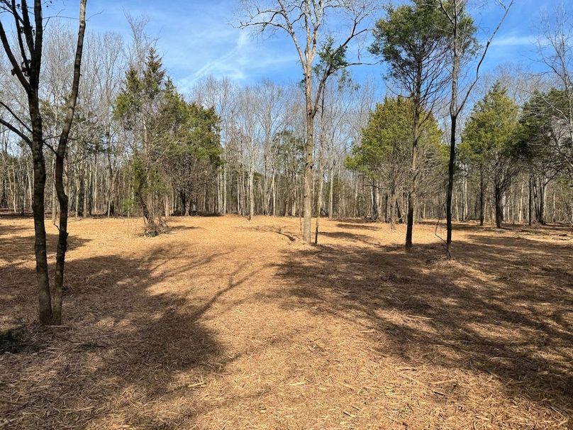 BFFE4A0D-50E7-4449-A2B7-574F691FF81F