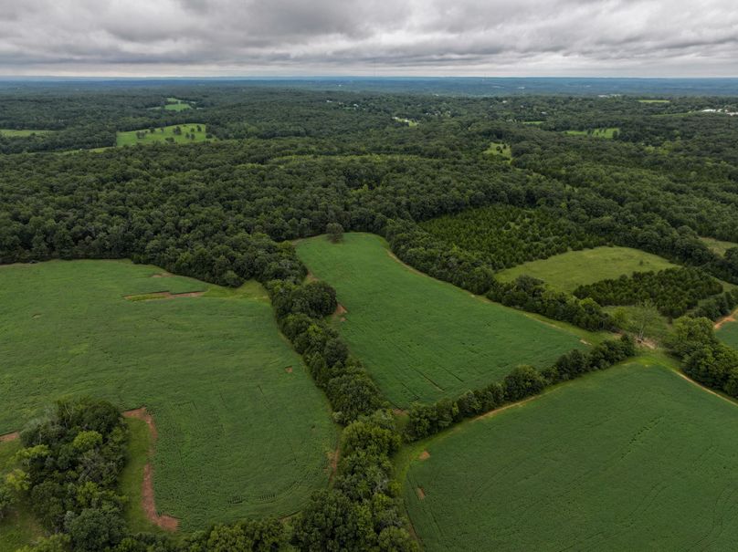 DJI_20230815082129_0013_D