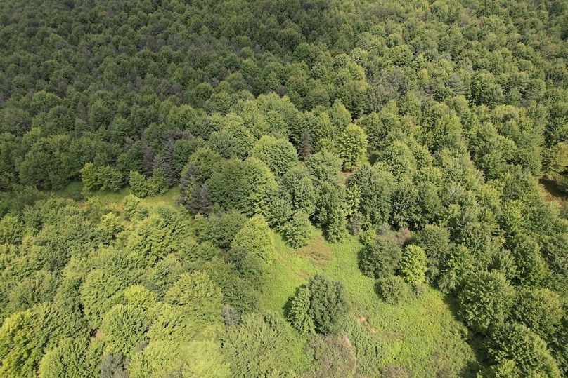 Chemung_78.26+Gutchess_Lumber_Photos_4