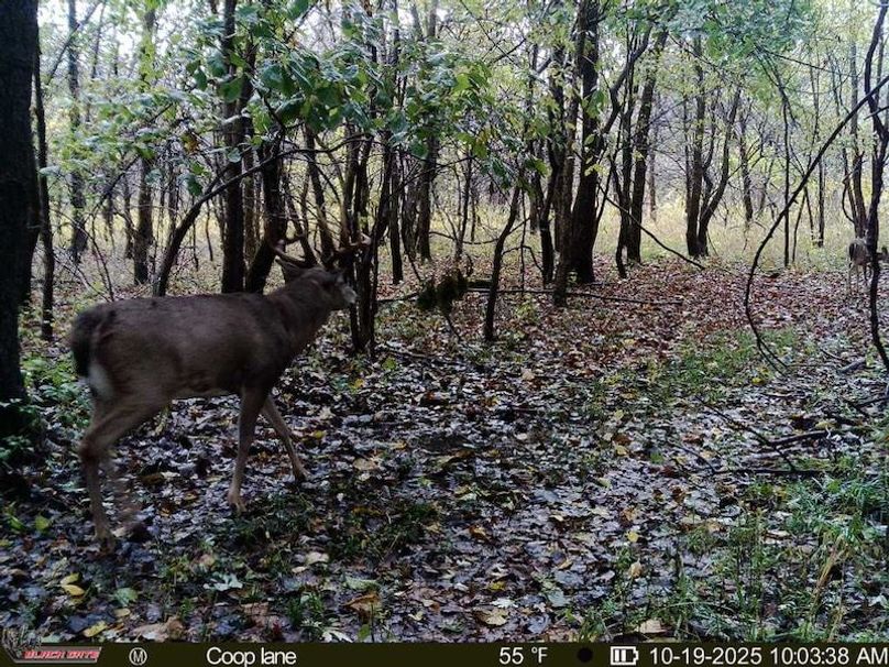 thumb-e6b8b67b6745fc031bf7e9b694c1abda021a5292