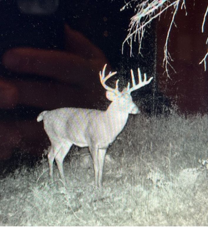 Screenshot 2023-06-07 at 10.26.51 AM