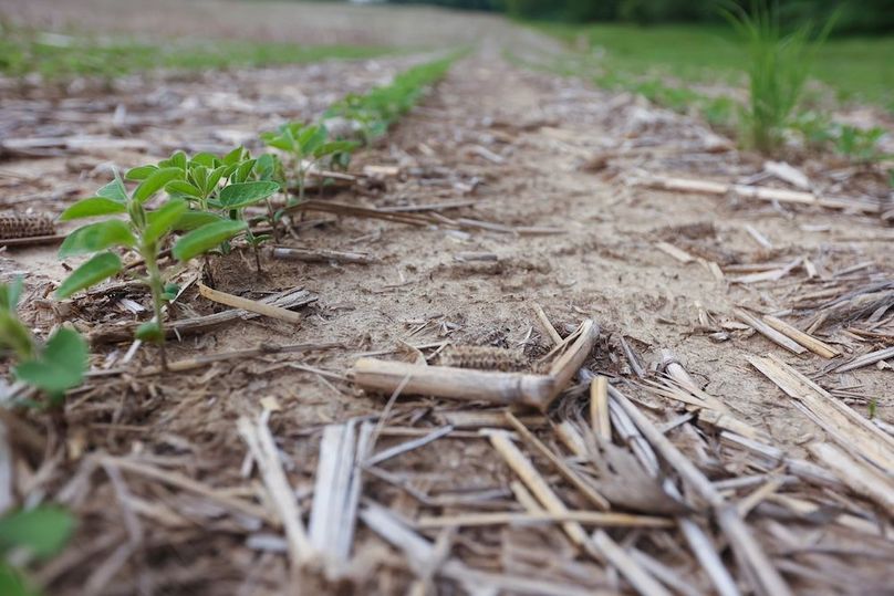 FREMONT CO IA 119.4_5