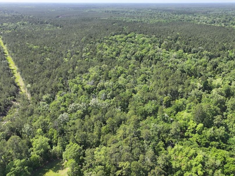 dji_fly_20260413_140650_0043_1776114933388_photo