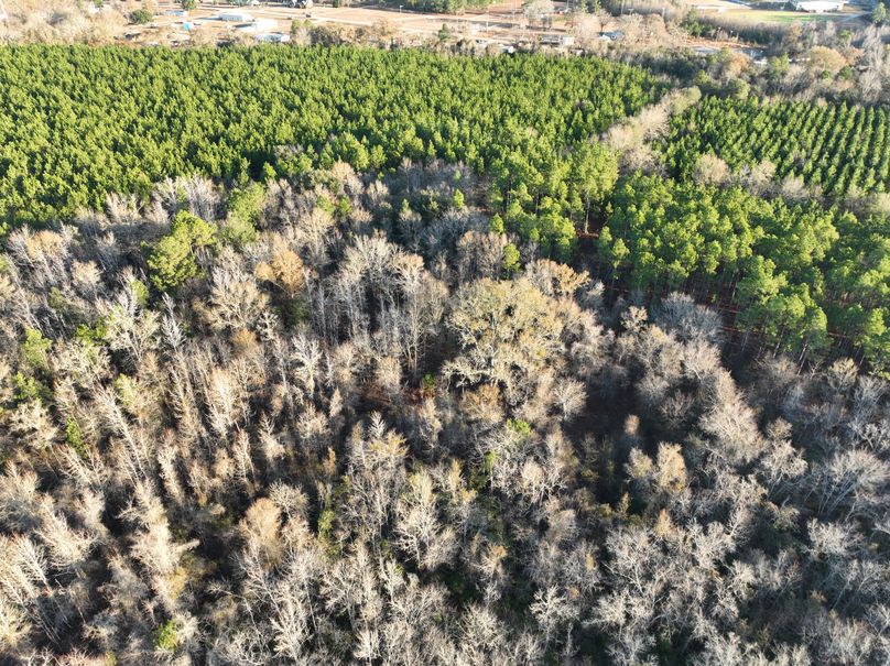 dji_fly_20231229_082826_989_1703856663177_photo