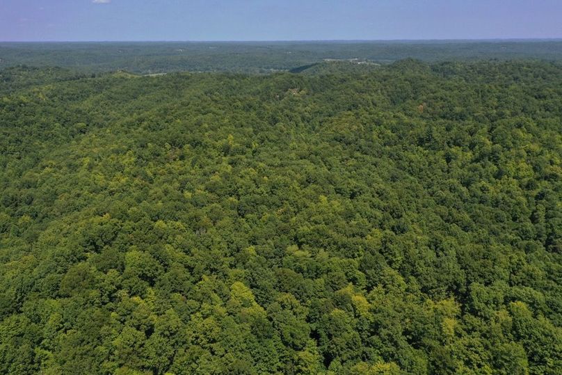 007 aerial drone shot from the south boundary looking north