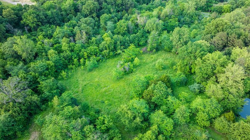 DJI_20250610060900_0033_D