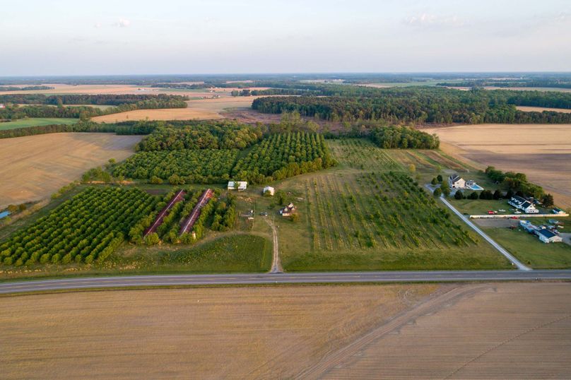 50.38ac_BethlehemRd_Caroline_AERIAL_002