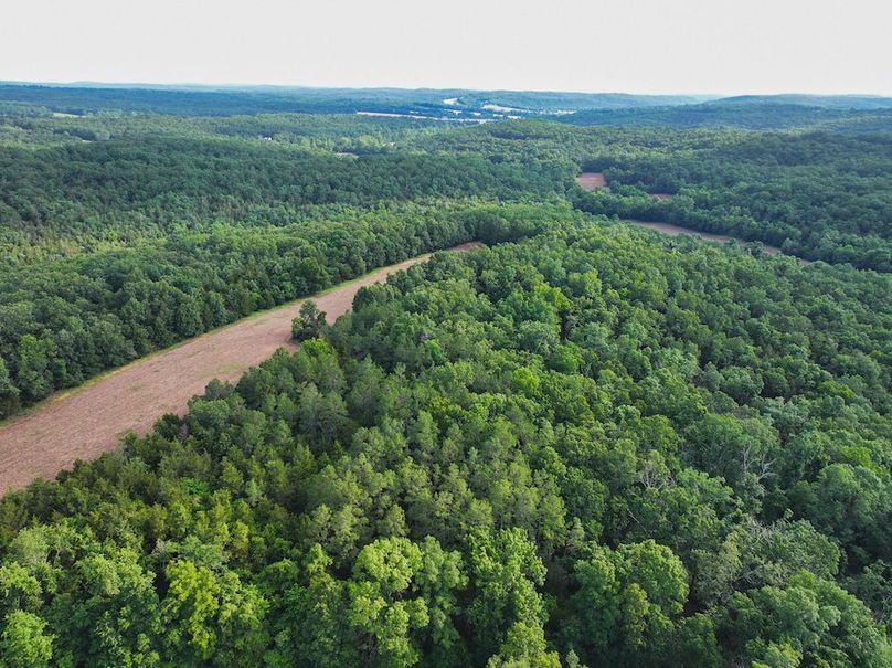DJI_20260602075224_0233_D