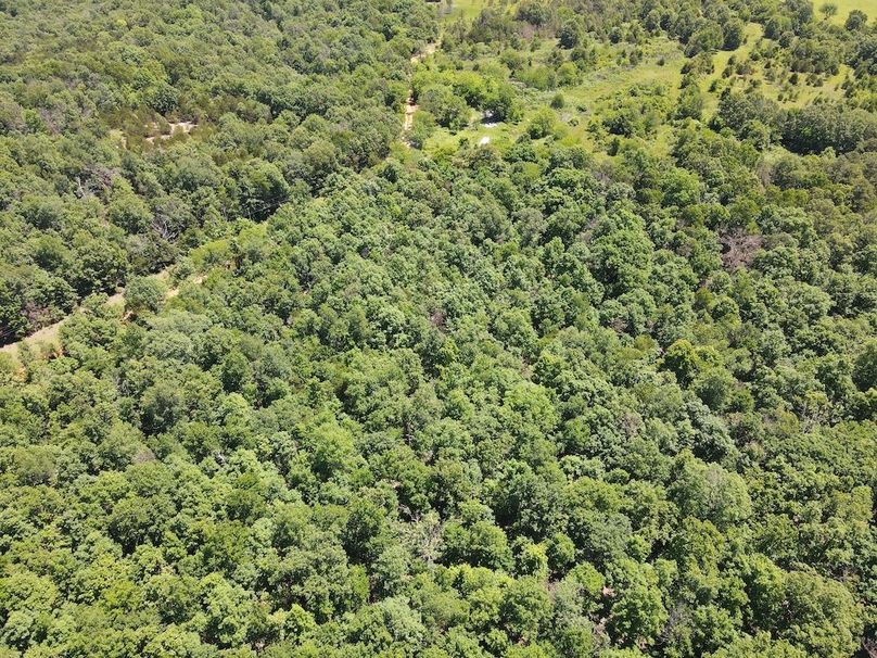 dji_fly_20260507_122512_746_1778174725900_photo