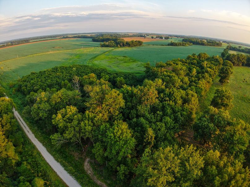 DJI_20250823070537_0914_D