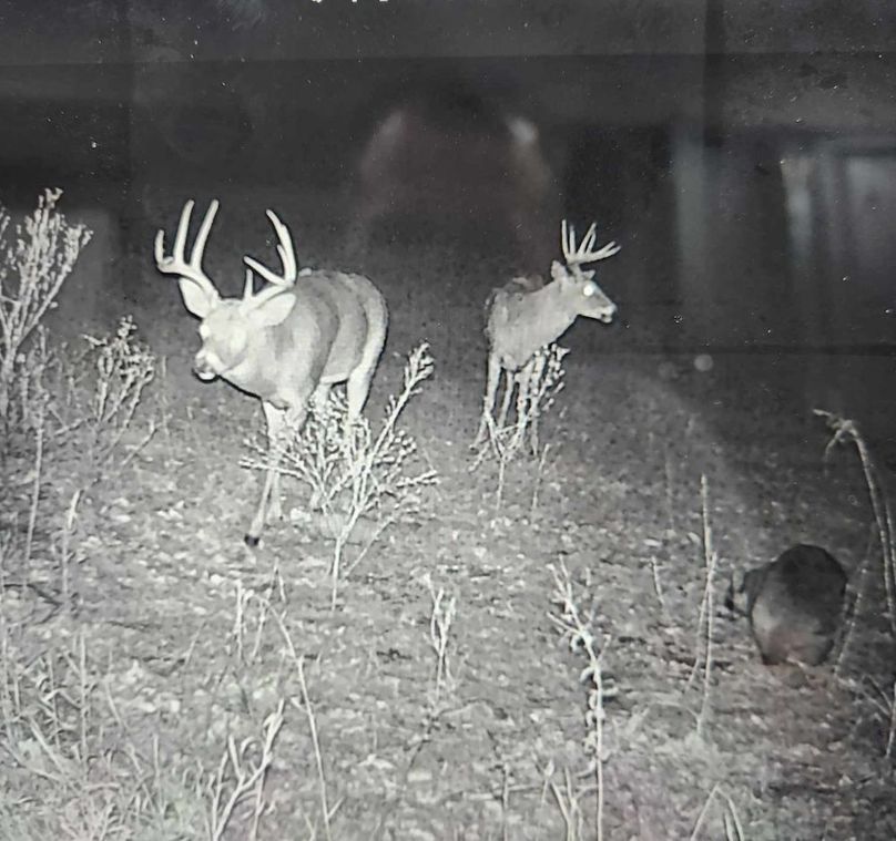 received_970026234460232