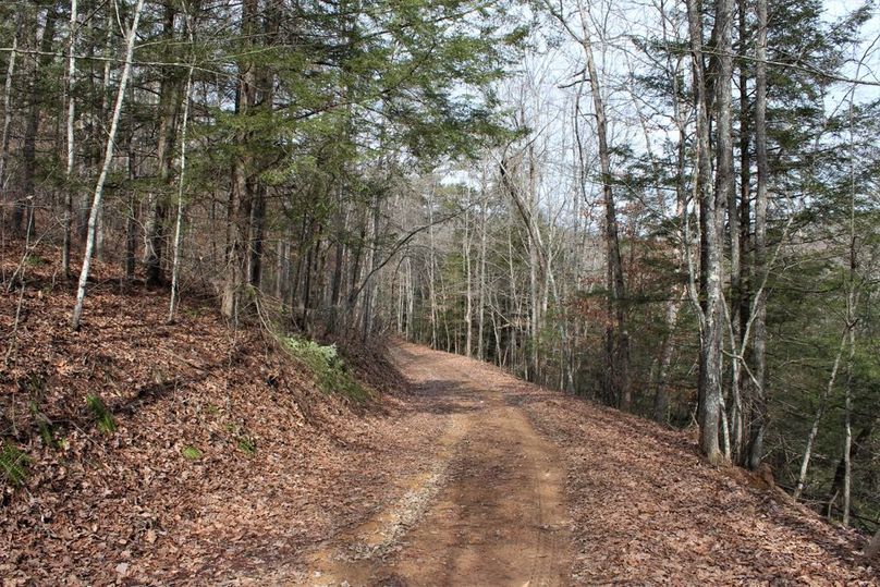 014 the open trail system leading into the middle of the property