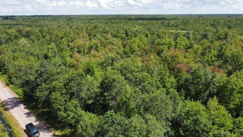 dji_fly_20240708_150520_268_1720541036017_photo_optimized