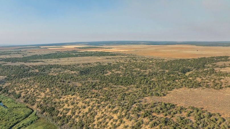DJI_0581_1