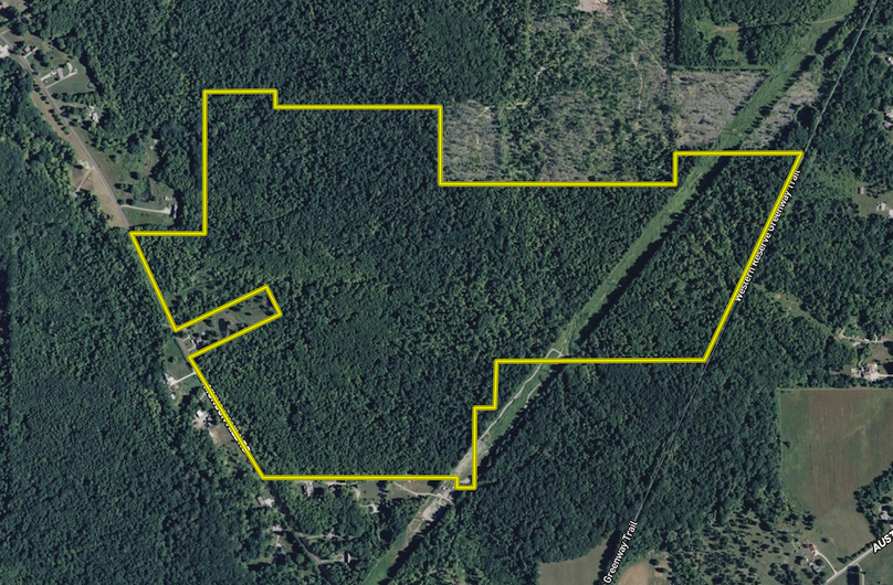 Screenshot 2026-03-18 at 10.57.40 PM