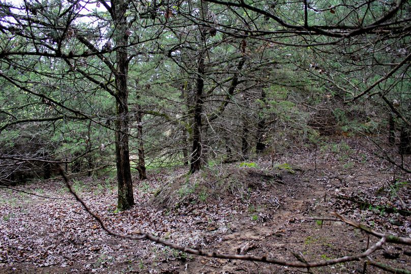 Washington, Co, 83.3_028