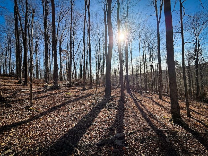 Chemung_31.75_Seymour_South_Photos_12