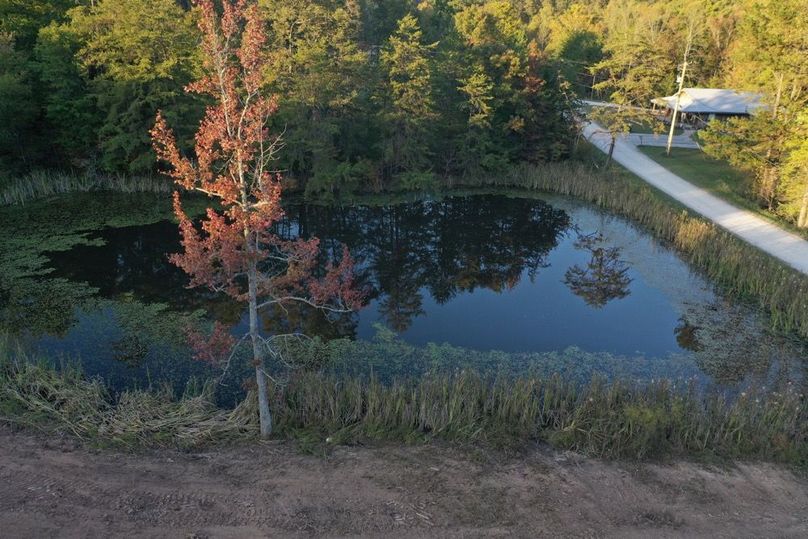 008 low elevation drone shot of the north pond