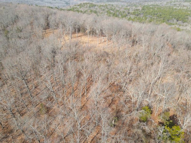 DJI_0641