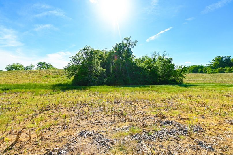 Copy of st clair 25 auction(9)