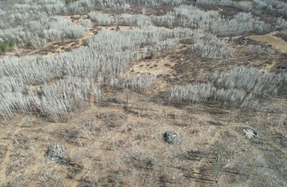 dji_fly_20260415_161228_153_1776288026185_photo