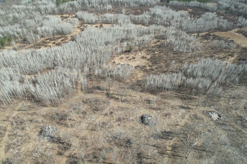 dji_fly_20260415_161228_153_1776288026185_photo