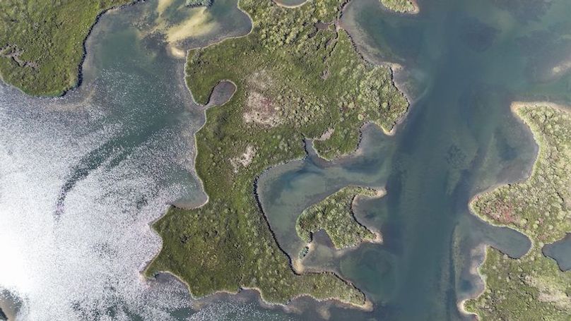 17.17ac, Citrus, Josiah Ronco21