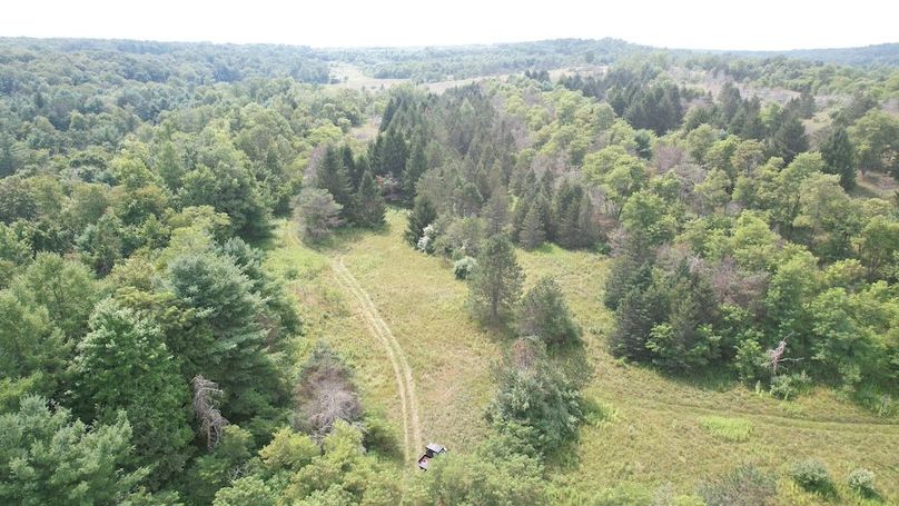 dji_fly_20250804_153050_485_1754355830760_photo