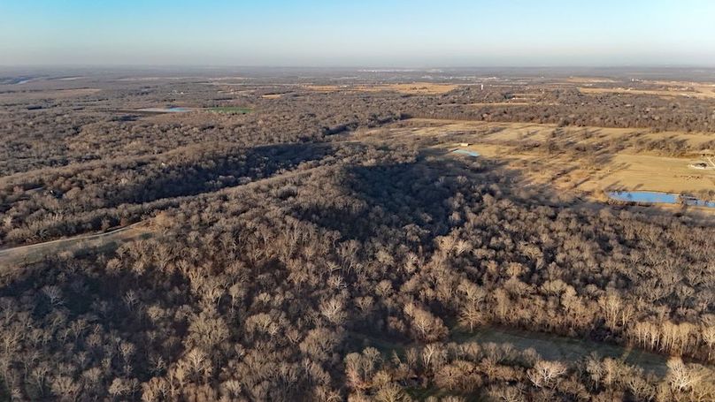 DJI_20260220091524_0016_D