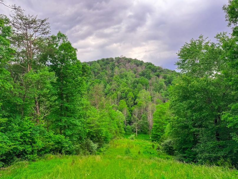 Tyler, WV 313.87 AC -51