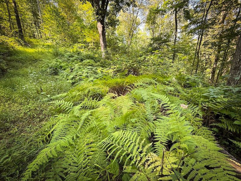 Tioga NY 86.705 Capwell Photos 22