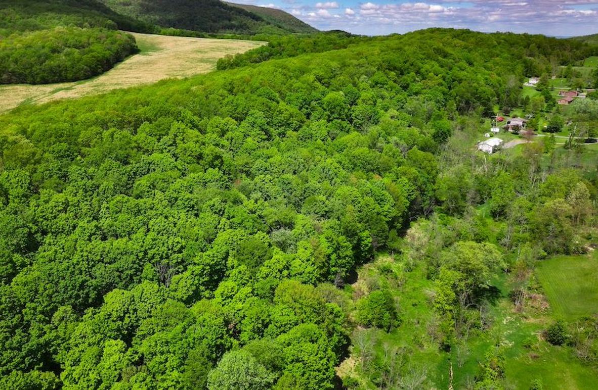 Copy of DJI_20250508022414_0102_D