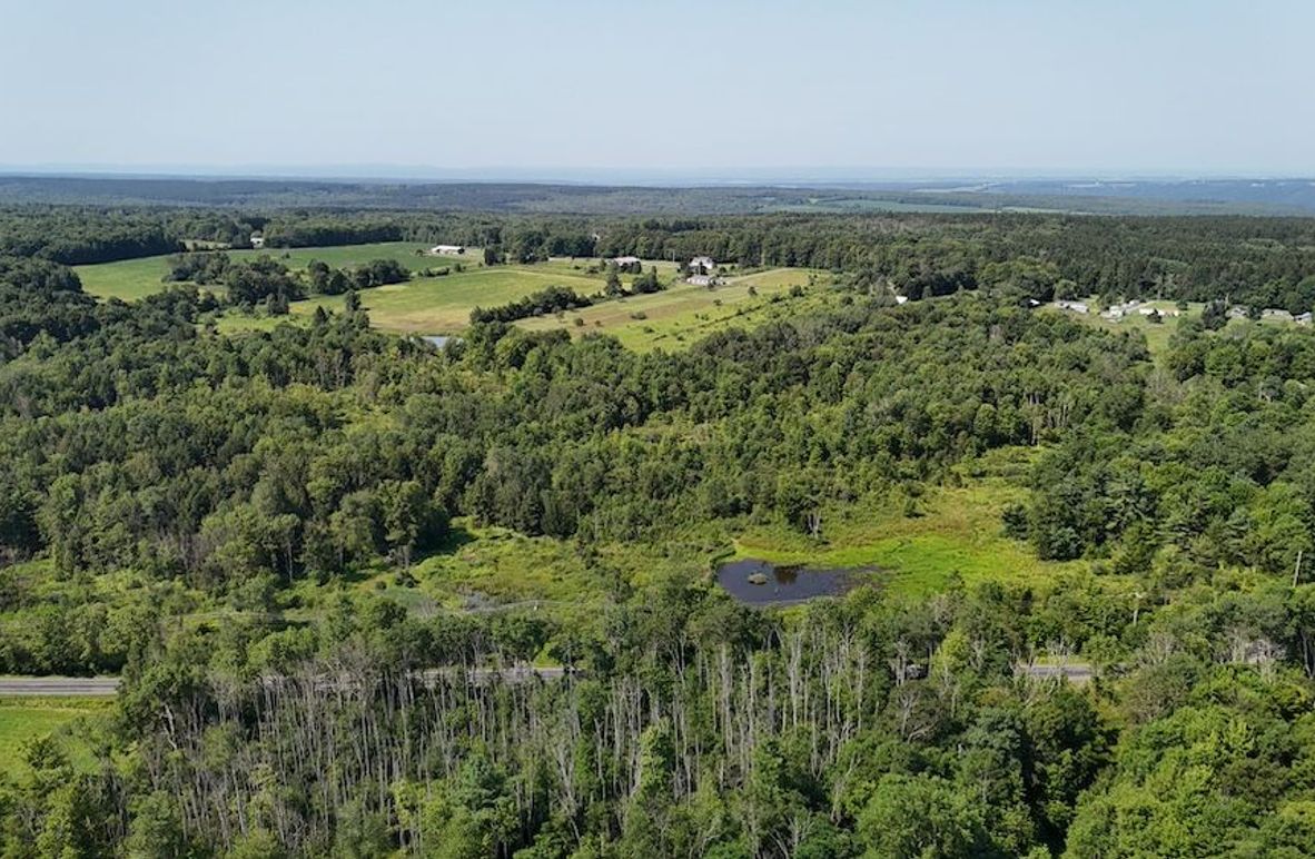 DJI_20250730103546_0284_D