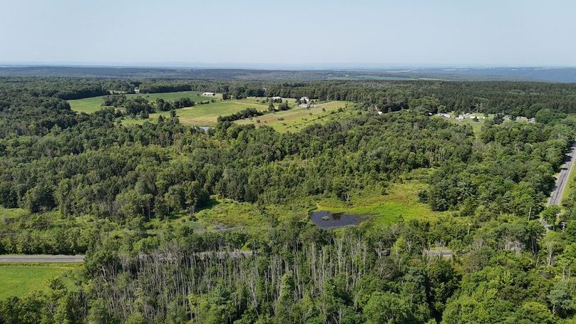 DJI_20250730103546_0284_D