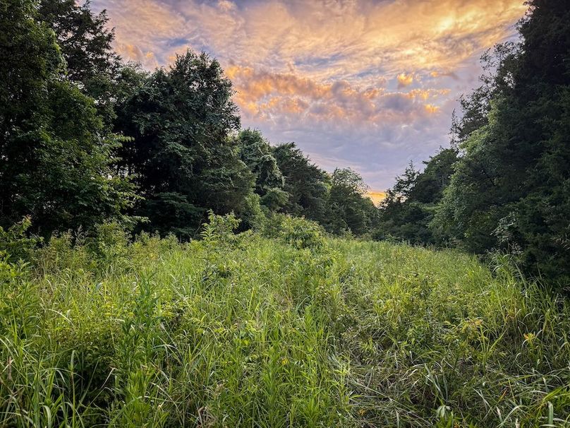 Copy of Clay 374.13-29