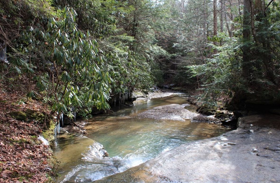 001 Lacy Creek flowing along the southwest boundary near the entrance